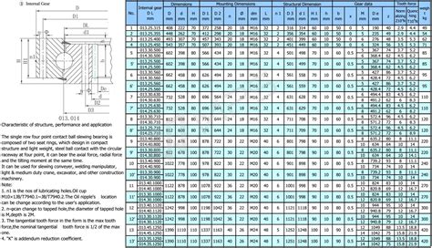 bearing 10 1 lv 100 user manual